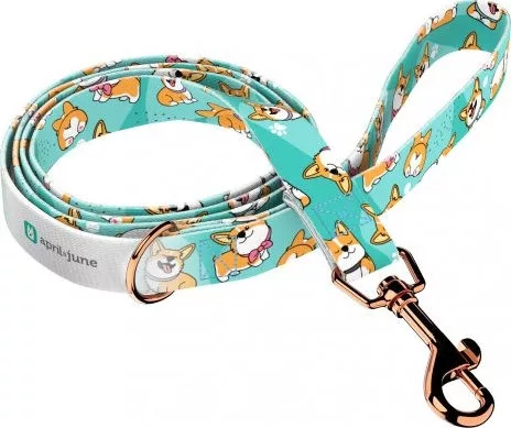 April&June Pembroke Welsh Corgi kék póráz