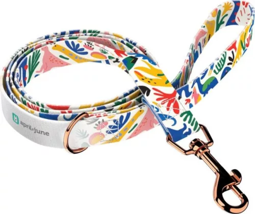 April&June dinó mintás póráz