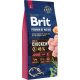 Brit Premium by Nature Large Junior 15 kg