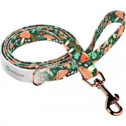 April&June Őszi Erdő póráz