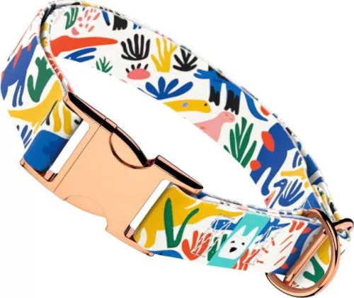 April&June dinó mintás nyakörv