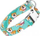 April&June Shiba Inu kék nyakörv