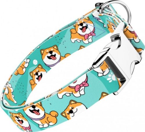 April&June Shiba Inu kék nyakörv
