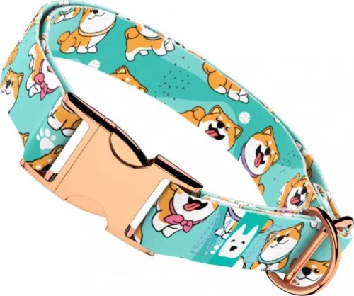 April&June Shiba Inu kék nyakörv