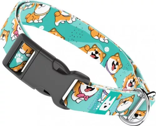 April&June Shiba Inu kék nyakörv