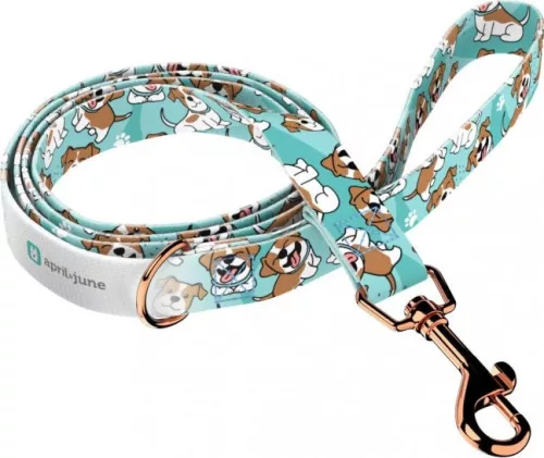April&June Jack Russel Terrier kék póráz