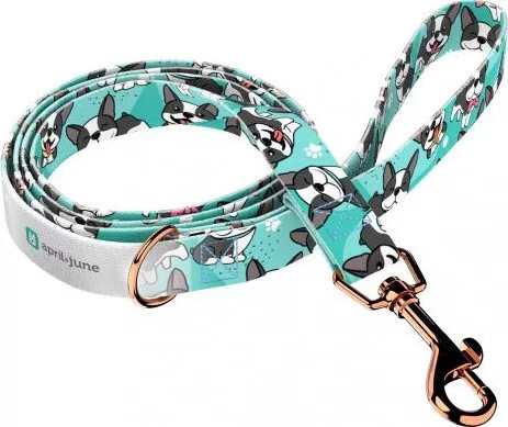 April&June Boston Terrier kék póráz