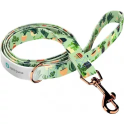 April&June Trópusi Otthon póráz