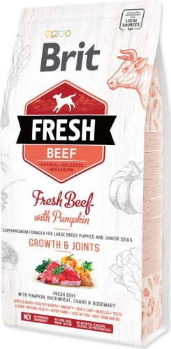Brit Fresh Beef with Pumpkin Puppy Large 2,5 kg