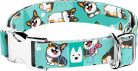 April&June Pembroke Welsh Corgi trikolor kék nyakörv
