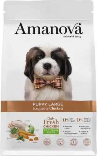 AmaNova Dog LG Large Puppy Exquisite Chicken & Quinoa 12 kg