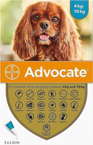 Advocate spot-on kutya 4-10 kg 3 db