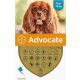 Advocate spot-on kutya 4-10 kg 3 db