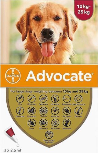 Advocate spot-on kutya 10-25 kg 3 db