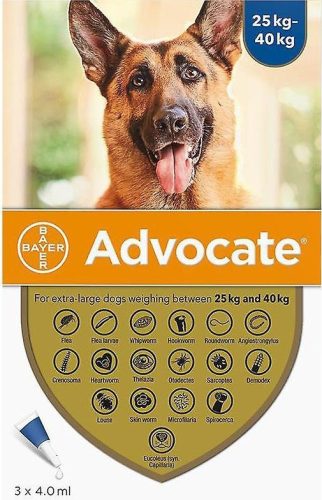 Advocate spot-on kutya 25-40 kg 3 db