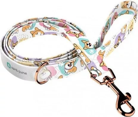 April&June Pembroke Welsh Corgi póráz