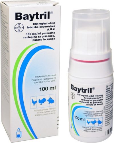 Baytril 100 mg/ml oldat 100 ml