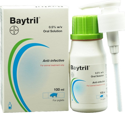 Baytril 5 mg/ml oldat 100 ml