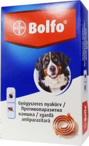 Bolfo nyakörv nagytestű kutyák részére