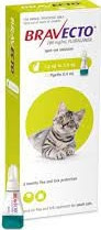 Bravecto spot-on macska 1,2-2,8 kg 1 db