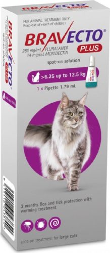 Bravecto Plus spot-on macska 6,25-12,5 kg 1 db