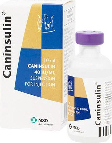 Caninsulin 10 ml
