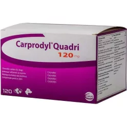 Carprodyl Quadri 120 mg 120 db