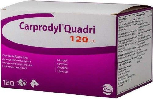 Carprodyl Quadri 120 mg 120 db