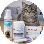 Fogápolás, szájhigiénia