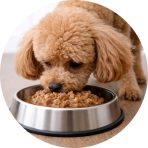 Konzervek, nedvestápok