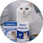 Tabletták, kapszulák