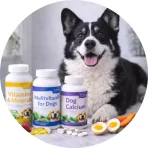 Vitaminok, ásványianyagok