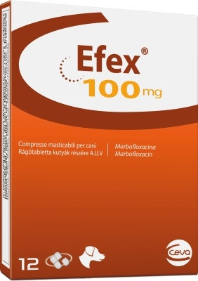 Efex 100 mg rágótabletta kutyák részére 12 db