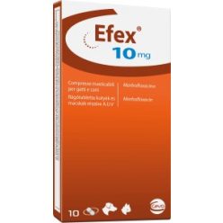 Efex 10 mg rágótabletta 10 db