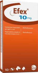Efex 10 mg rágótabletta 10 db
