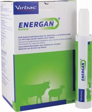 Energan Ketose 12 x 300 g