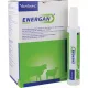 Energan Ketose 12 x 300 g