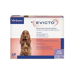 EVICTO spot-on kutya 10-20 kg 4 db