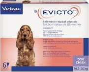 EVICTO spot-on kutya 10-20 kg 4 db