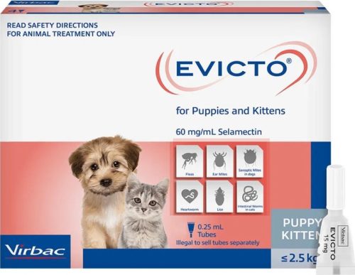 EVICTO spot-on kutya, macska 2,5 kg alatt 4 db