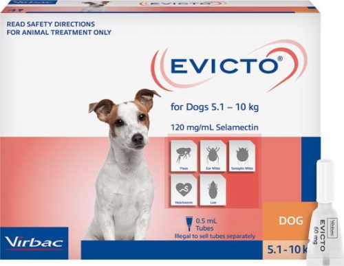 EVICTO spot-on kutya 5-10 kg 4 db