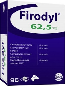 Firodyl 62,5 mg rágótabletta 96 db