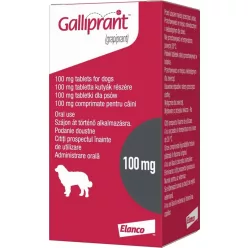 Galliprant 100 mg tabletta 30 db