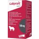 Galliprant 100 mg tabletta 30 db