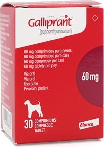 Galliprant 60 mg tabletta 30 db