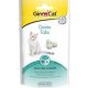 GimCat Denta Tabs 40 g