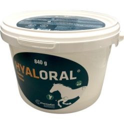 Hyaloral Equine 840 g