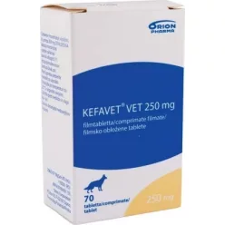 Kefavet Vet 250 mg tabletta 70 db