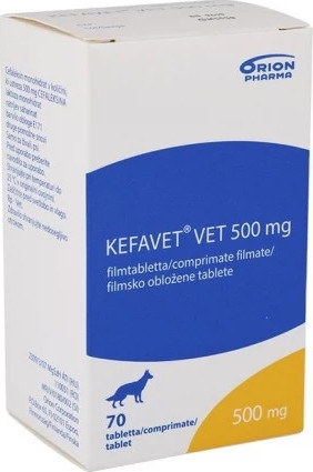 Kefavet Vet 500 mg tabletta 70 db