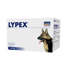 Lypex kapszula 60db